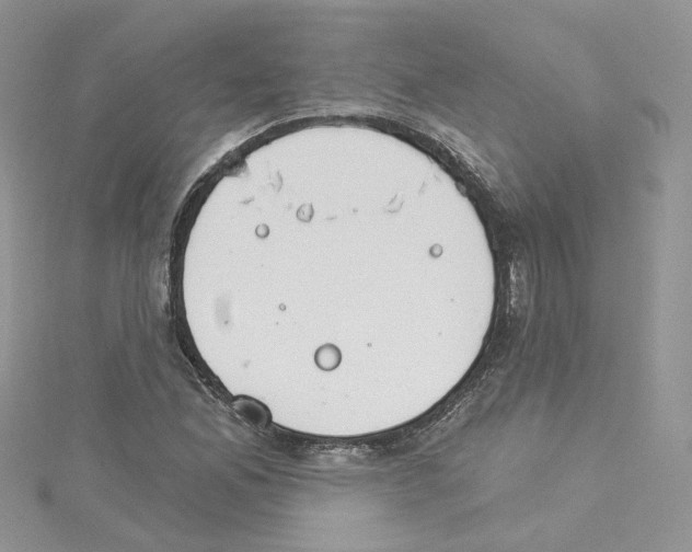 X0000114081165200911161010