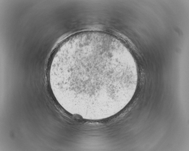 X0000114081168200911161010