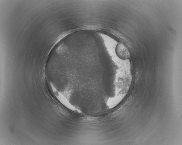 X0000114081170200911161010