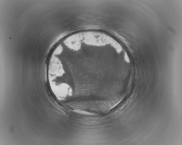 X0000114081171200911161010