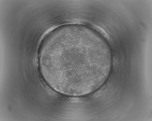 X0000114081172200911161010