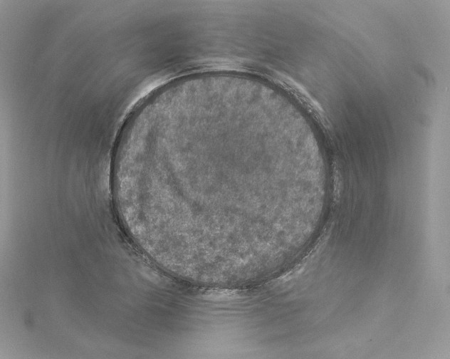 X0000114081174200911161010