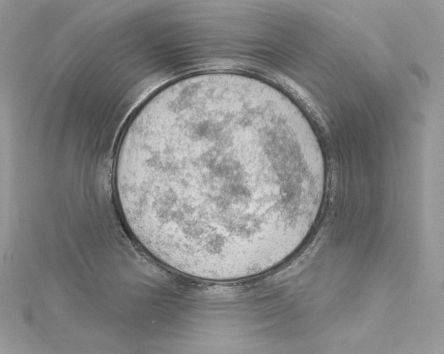 X0000114081178200911161010