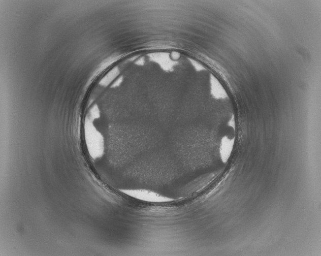 X0000114081179200911161010