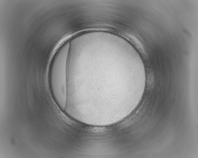 X0000114081180200911161010