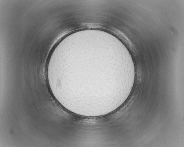 X0000114081182200911161010