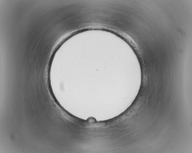 X0000114081183200911161010