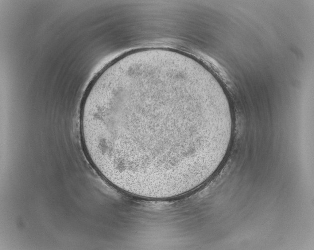 X0000114081184200911161010