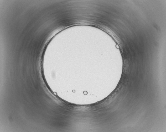 X0000114081187200911161010