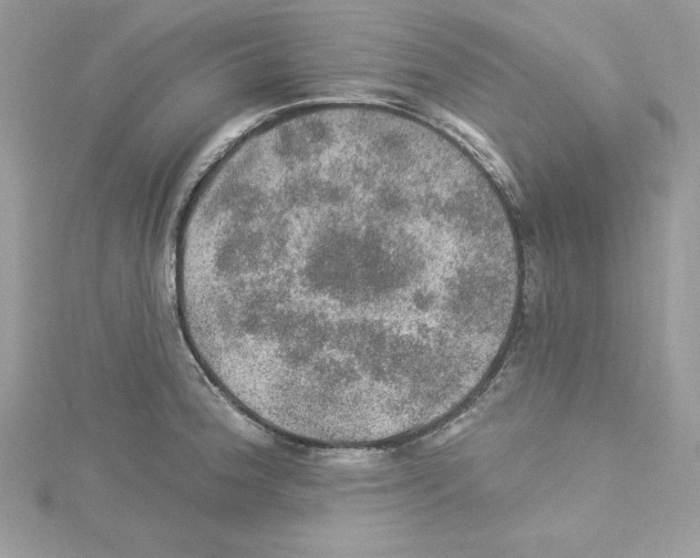 X0000114081188200911161009