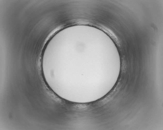 X0000114081190200911161009