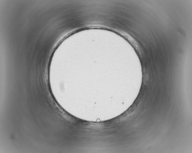 X0000114081191200911161009