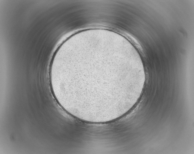 X0000114081192200911161009