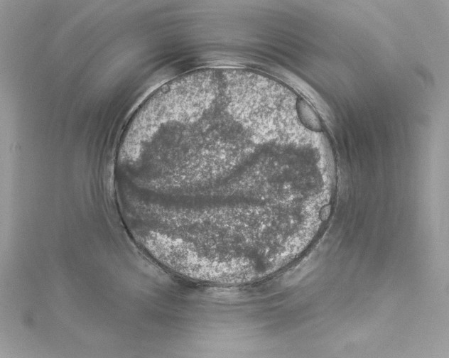 X0000114081194200911161009