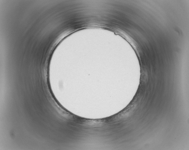 X0000114081195200911161009