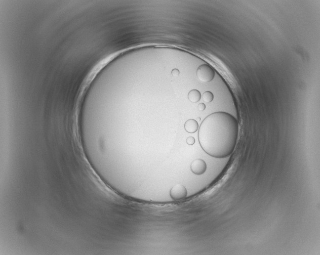 X0000114081196200911161009