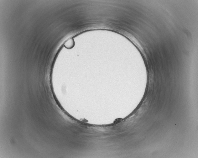 X0000114081197200911161009