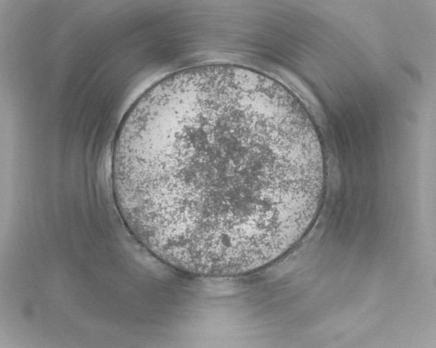 X0000114081198200911161009