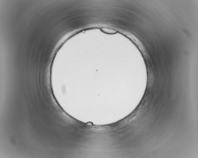 X0000114081199200911161009