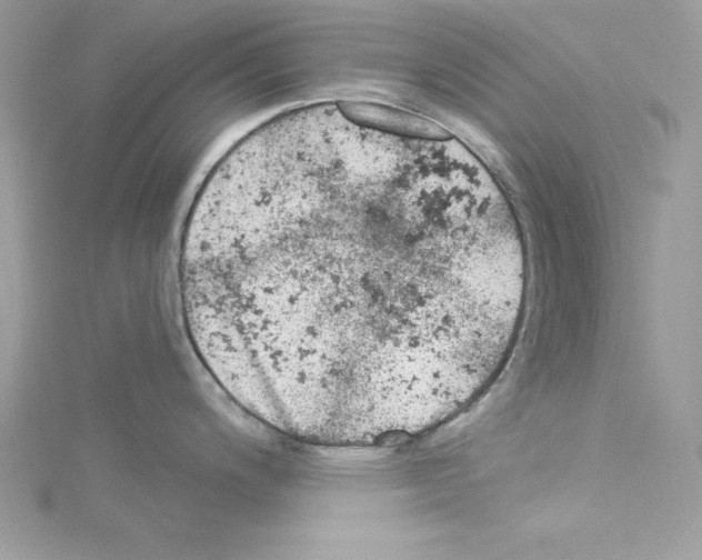 X0000114081200200911161009