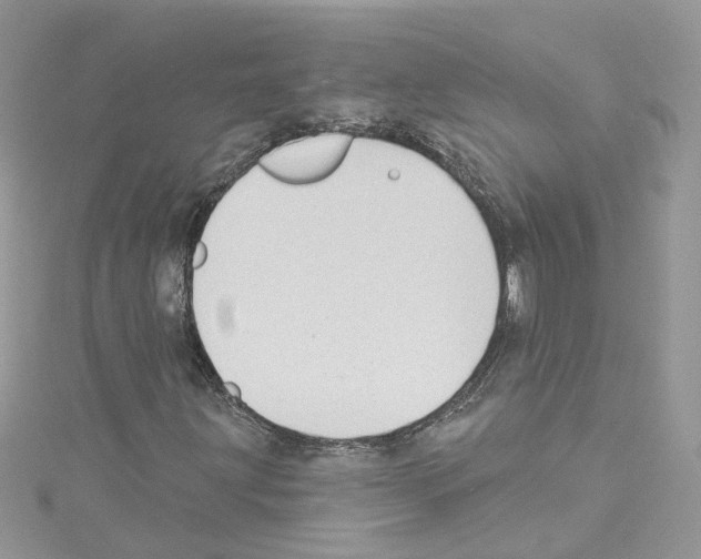 X0000114081203200911161009