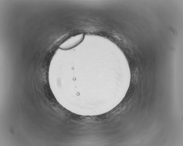 X0000114081205200911161009