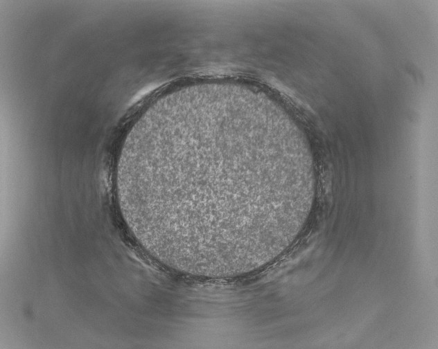 X0000114081206200911161009