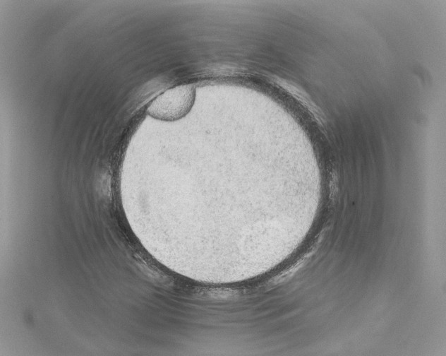 X0000114081209200911161009