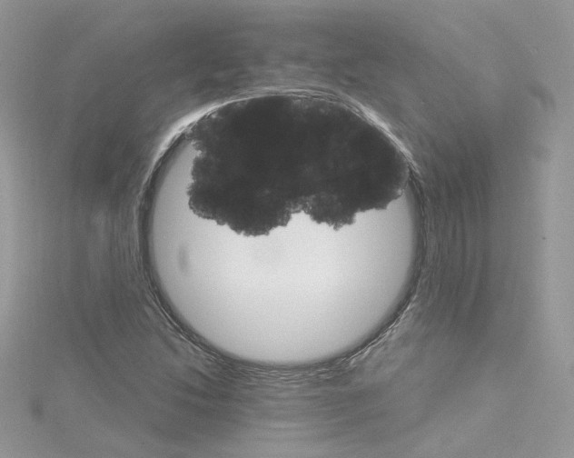 X0000114081214200911161009