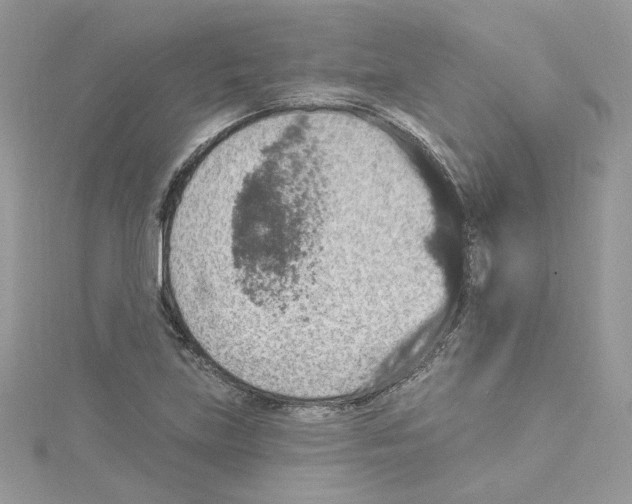 X0000114081219200911161009