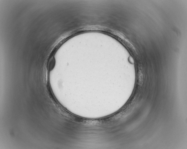 X0000114081221200911161009