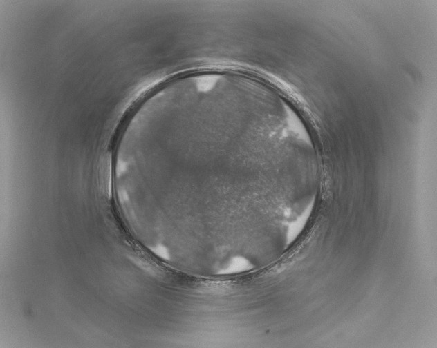 X0000114081223200911161009