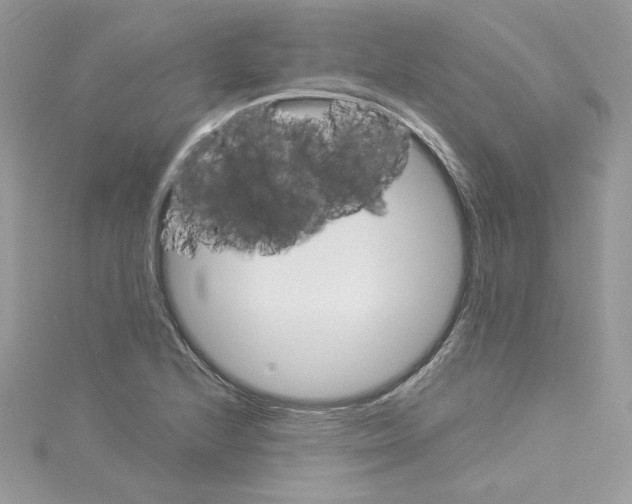 X0000114081224200911161009