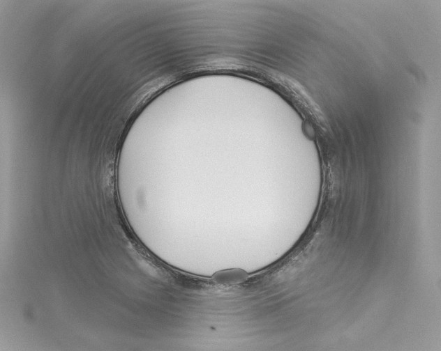 X0000114081225200911161009