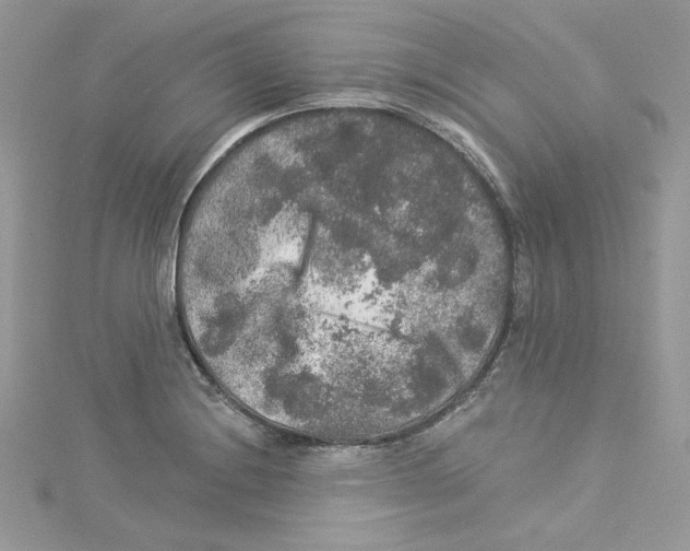 X0000114081228200911161009