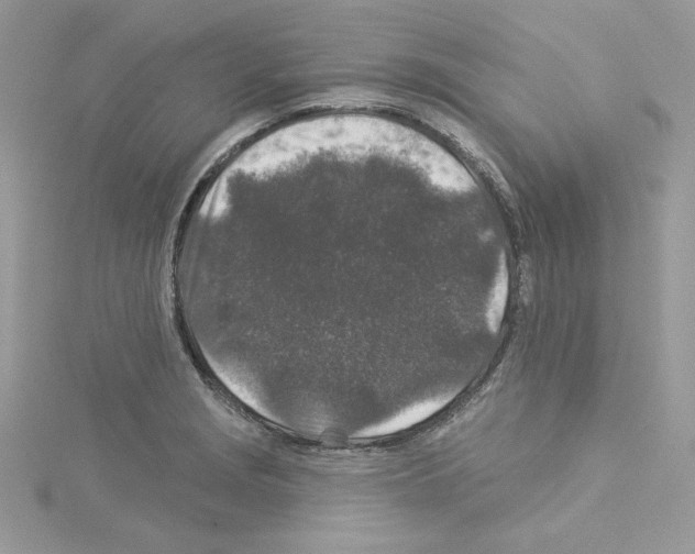 X0000114081229200911161009