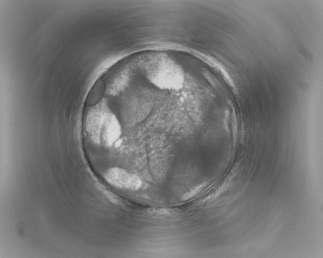 X0000114081231200911161009