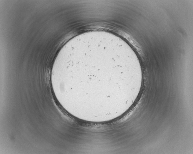 X0000114081233200911161009