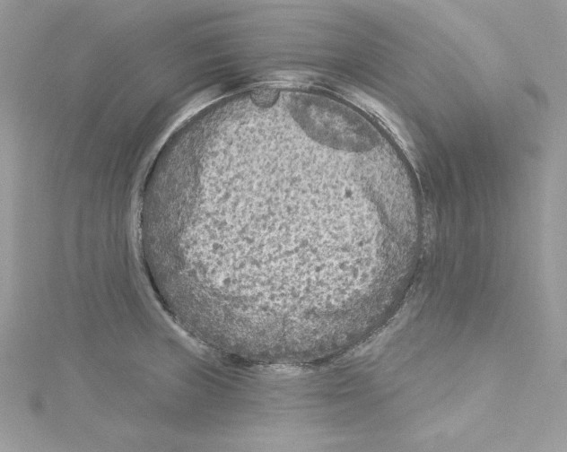 X0000114081235200911161009