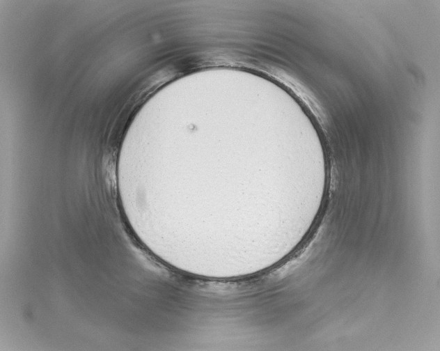 X0000114081241200911161009