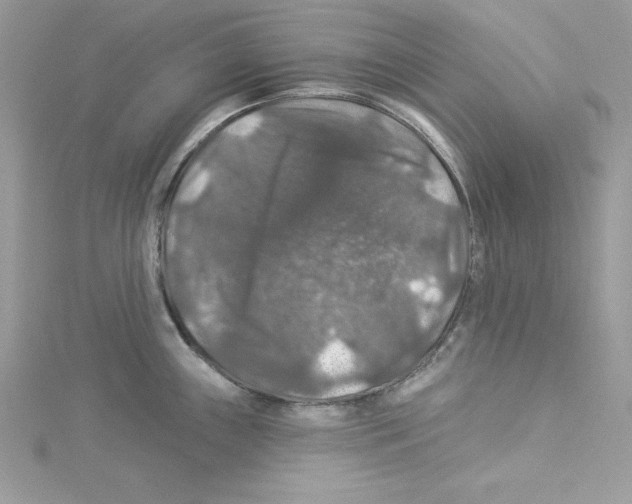 X0000114081243200911161009