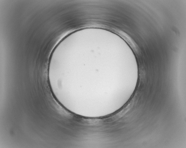 X0000114081244200911161009