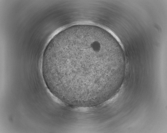 X0000114081245200911161009