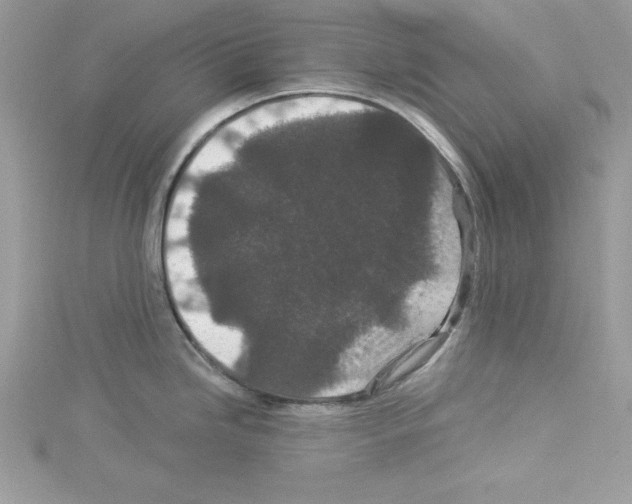 X0000114081246200911161009