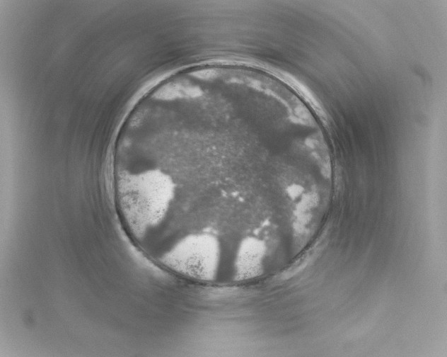 X0000114081247200911161009