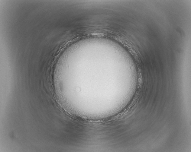 X0000114081249200911161009