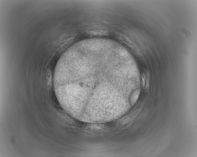 X0000114081251200911161009