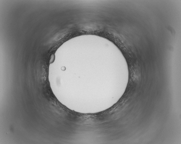 X0000114081253200911161009