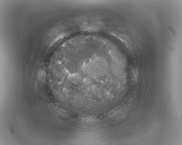 X0000114081254200911161009