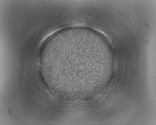 X0000114081255200911161009